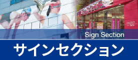 サインセクション